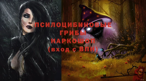 спиды Арсеньев